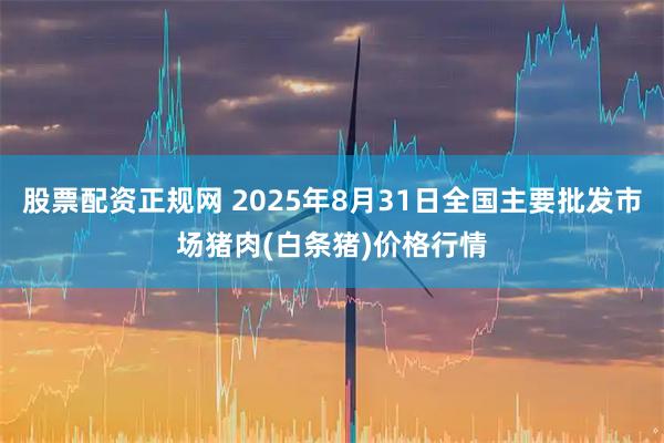 股票配资正规网 2025年8月31日全国主要批发市场猪肉(白条猪)价格行情