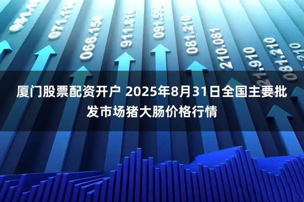 厦门股票配资开户 2025年8月31日全国主要批发市场猪大肠价格行情