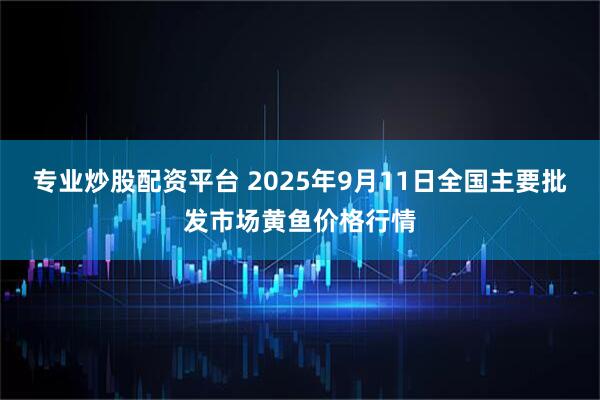 专业炒股配资平台 2025年9月11日全国主要批发市场黄鱼价格行情