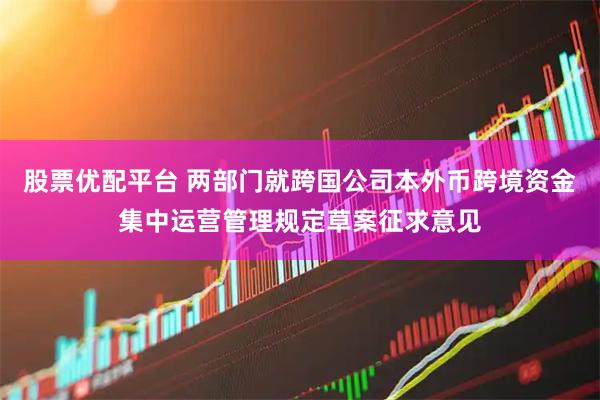 股票优配平台 两部门就跨国公司本外币跨境资金集中运营管理规定草案征求意见