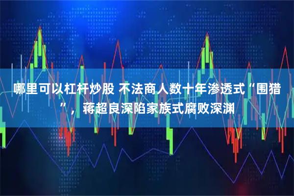 哪里可以杠杆炒股 不法商人数十年渗透式“围猎”，蒋超良深陷家族式腐败深渊